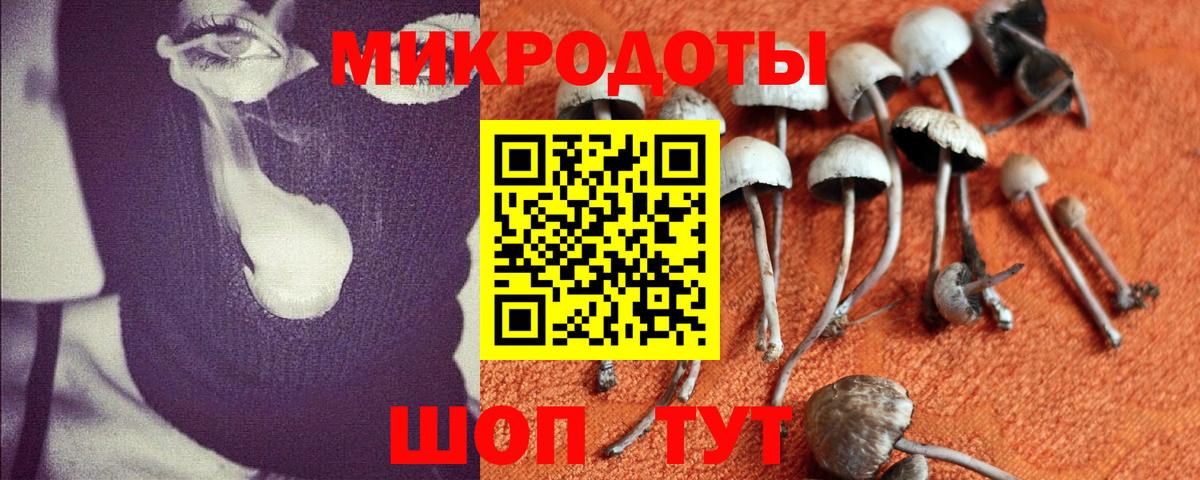 Псилоцибиновые грибы GOLDEN TEACHER Ртищево